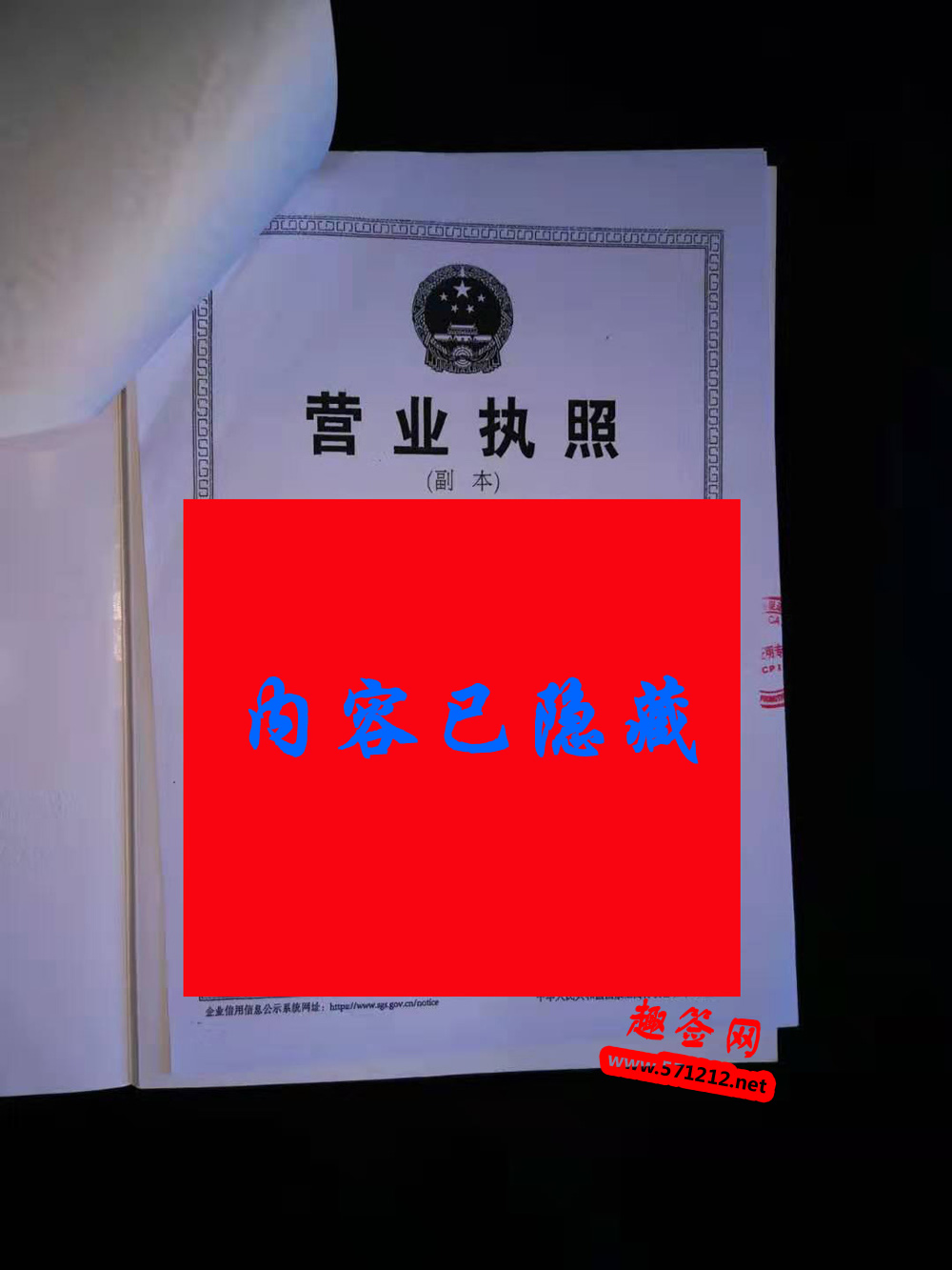 营业执照越南大使馆认证样本3