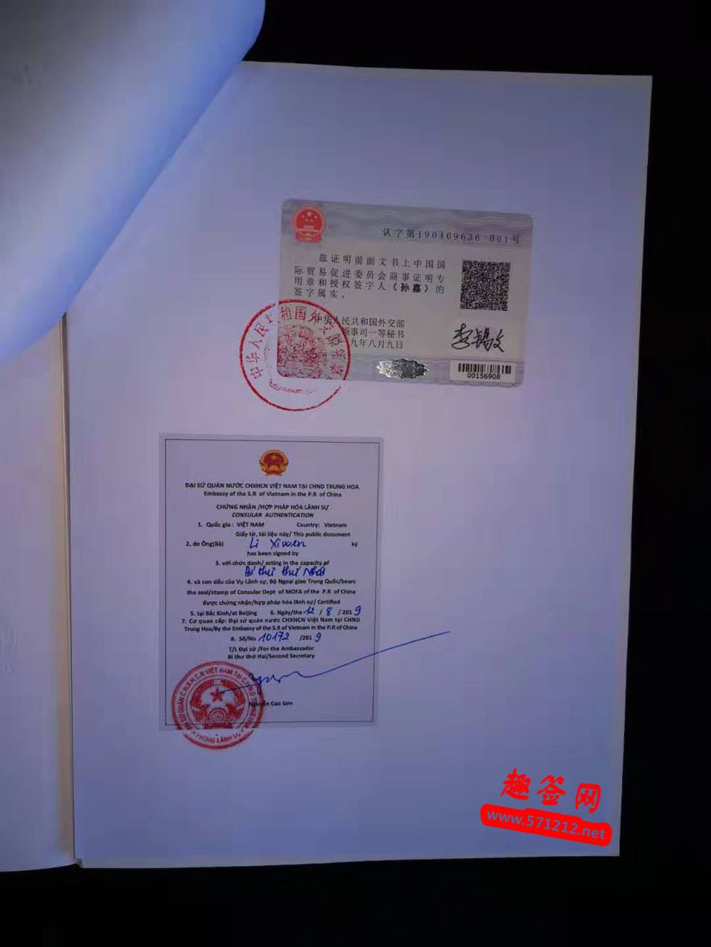 营业执照越南大使馆认证样本5