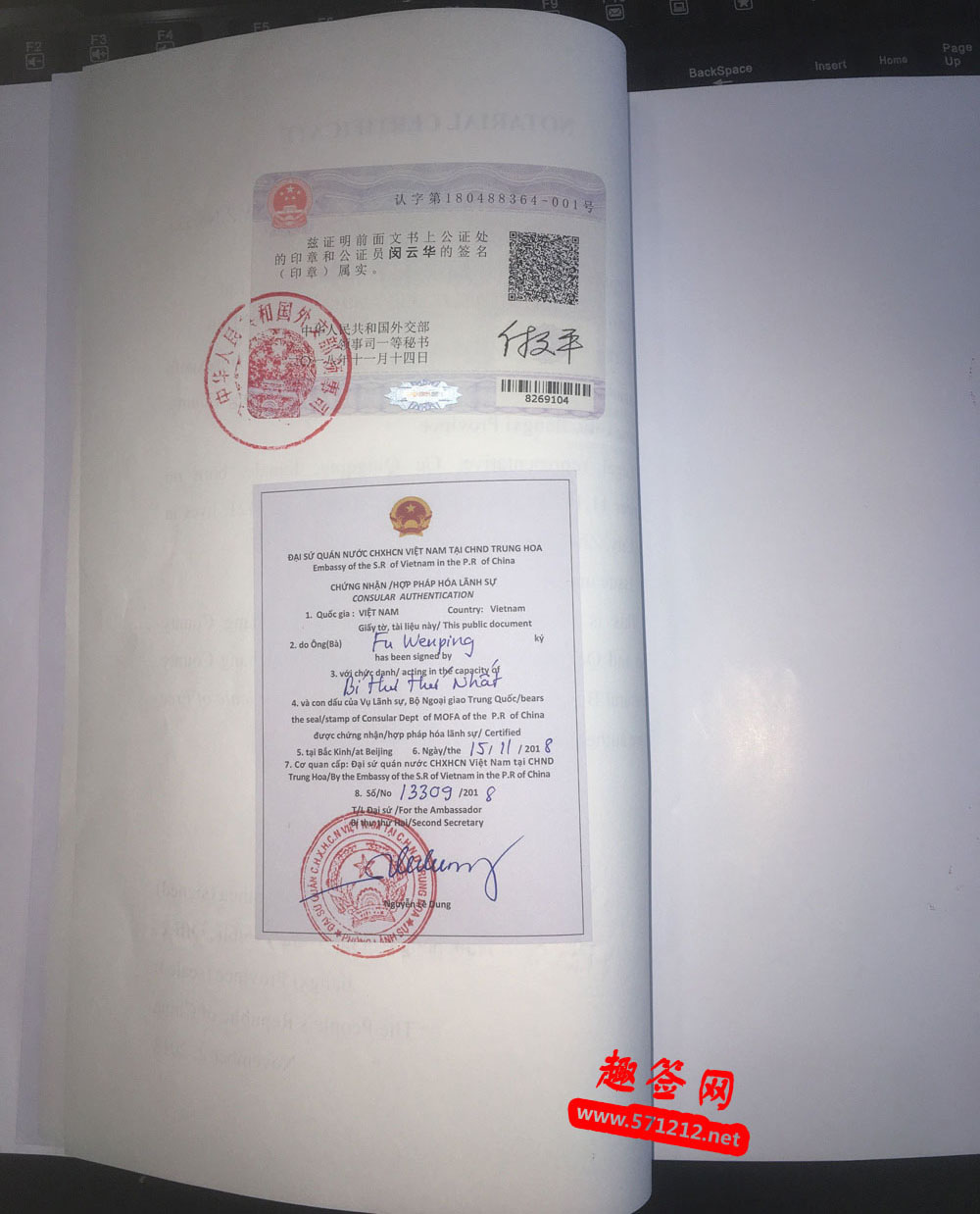 营业执照越南大使馆认证样本7